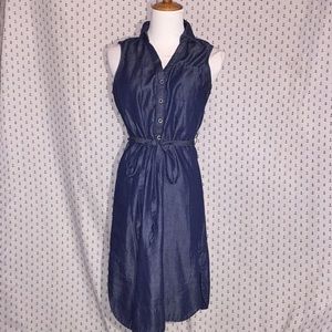 Denim Cloth New York and Company Dress